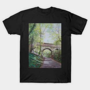 Walk on the Nutbrook nature trail T-Shirt